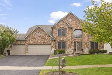 Lake Home Sale Pending in Plainfield, Illinois
