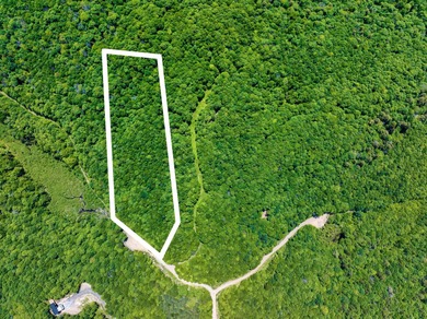 Lac Saint Victor Lot For Sale in Wentworth Nord QC