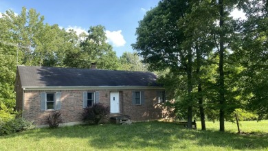 Imagine living on a countryside, little private slice of heaven! - Lake Home For Sale in Falls Of Rough, Kentucky