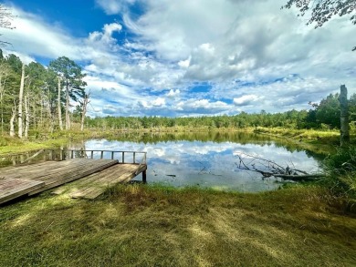 (private lake, pond, creek) Acreage Sale Pending in Bogue Chitto Mississippi