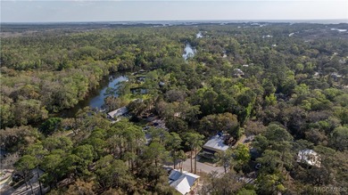 Withlacoochee River Home For Sale in Yankeetown Florida