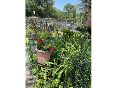 Two Acre Single or Multifamily Opportunity Across from Pinewood