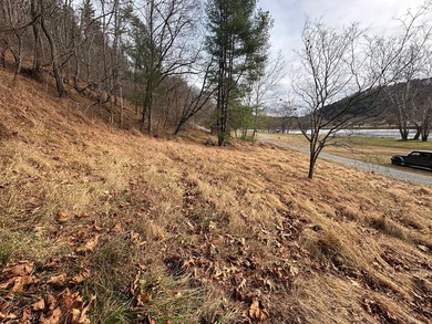 NEW RIVER waterfront land for sale ~ 10.69 acres, buildable - photo 14
