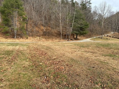 NEW RIVER waterfront land for sale ~ 10.69 acres, buildable - photo 15