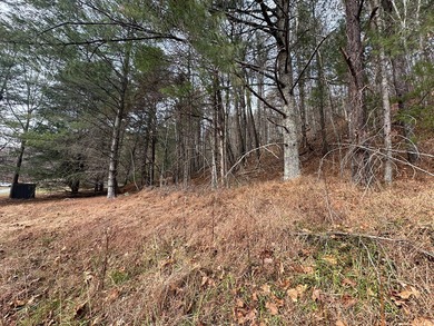NEW RIVER waterfront land for sale ~ 10.69 acres, buildable - photo 17