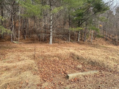 NEW RIVER waterfront land for sale ~ 10.69 acres, buildable - photo 18