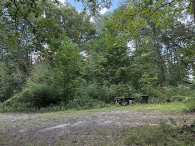 Two Acre Single or Multifamily Opportunity Across from Pinewood