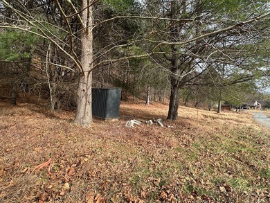 NEW RIVER waterfront land for sale ~ 10.69 acres, buildable - photo 20