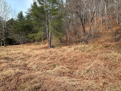NEW RIVER waterfront land for sale ~ 10.69 acres, buildable - photo 23