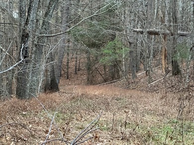 NEW RIVER waterfront land for sale ~ 10.69 acres, buildable - photo 25