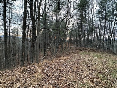 NEW RIVER waterfront land for sale ~ 10.69 acres, buildable - photo 26