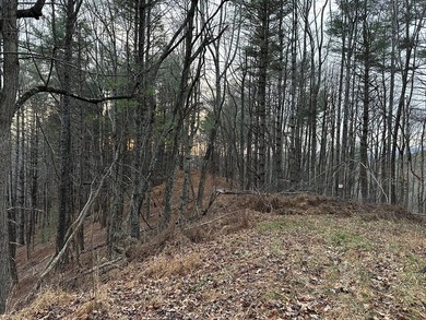 NEW RIVER waterfront land for sale ~ 10.69 acres, buildable - photo 28