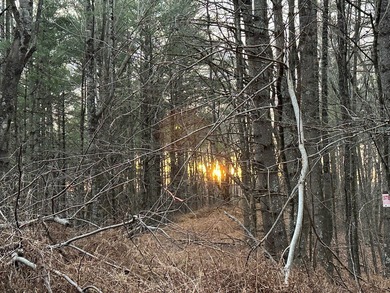 NEW RIVER waterfront land for sale ~ 10.69 acres, buildable - photo 29