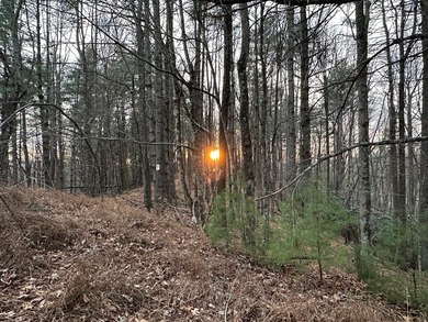 NEW RIVER waterfront land for sale ~ 10.69 acres, buildable - photo 30