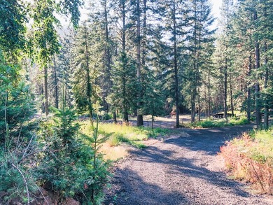 Bordering BLM land that fronts onto National Forest with direct - photo 4