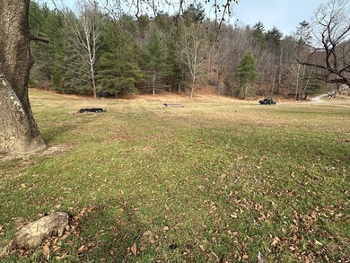 NEW RIVER waterfront land for sale ~ 10.69 acres, buildable - photo 35