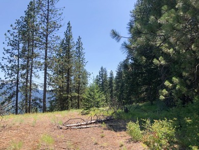 Bordering BLM land that fronts onto National Forest with direct - photo 6