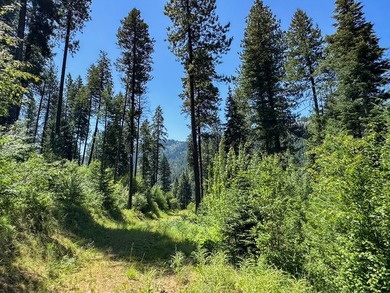 Bordering BLM land that fronts onto National Forest with direct - photo 8