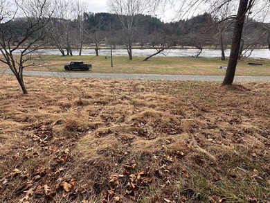 NEW RIVER waterfront land for sale ~ 10.69 acres, buildable - photo 38
