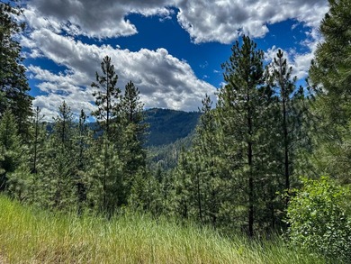 Bordering BLM land that fronts onto National Forest with direct - photo 9
