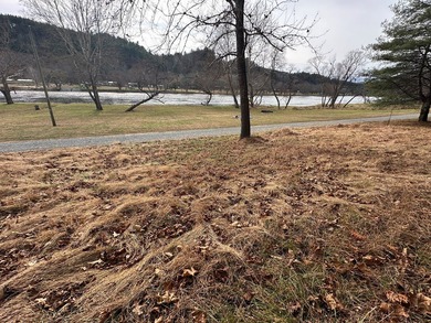 NEW RIVER waterfront land for sale ~ 10.69 acres, buildable - photo 39