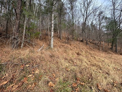 NEW RIVER waterfront land for sale ~ 10.69 acres, buildable - photo 40