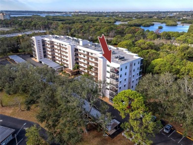 Lake Condo For Sale in St. Petersburg, Florida