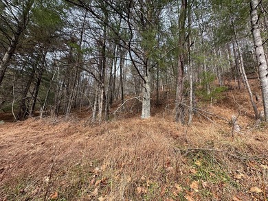 NEW RIVER waterfront land for sale ~ 10.69 acres, buildable - photo 41