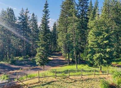 Bordering BLM land that fronts onto National Forest with direct - photo 3