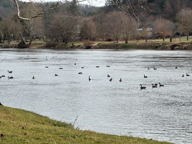 NEW RIVER waterfront land for sale ~ 10.69 acres, buildable - photo 44