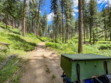 Bordering BLM land that fronts onto National Forest with direct - photo 8