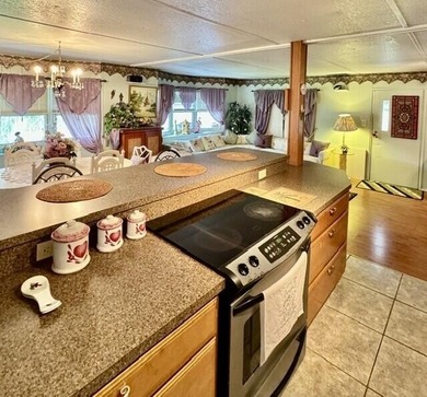 Welcome to this charming three-bedroom, two-bathroom mobile home - photo 6