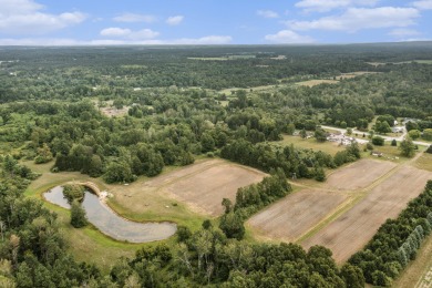 Lake Acreage For Sale in Hart, Michigan