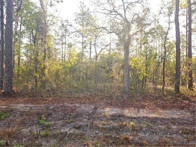 Lake Lot For Sale in Dunnellon, Florida
