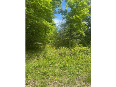 Scenic lake view lots near Lake Malone! 4 lots #s 25,26.27.28 - photo 3