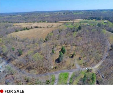 Scenic lake view lots near Lake Malone! 4 lots #s 25,26.27.28 - photo 8