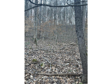 Discover the perfect blend of serenity and opportunity with this - photo 10