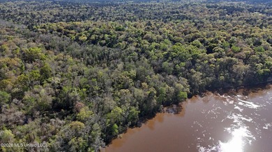 5-acre waterfront property located in the desirable River Bluffs - photo 6