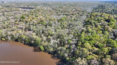 5-acre waterfront property located in the desirable River Bluffs - photo 8