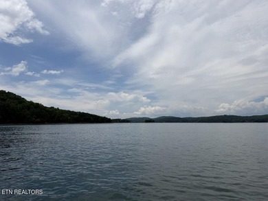 Stellar Long Range Norris Lake & Mtn views await. If Sunsets are - photo 8