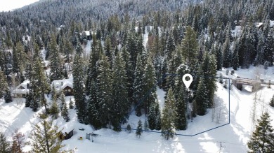 Lake Cascade  Lot Sale Pending in Donnelly Idaho