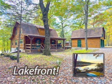 Paupackan Lake Home For Sale in Hawley Pennsylvania