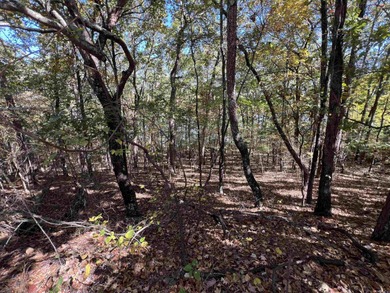 Lake Lot For Sale in Clinton, Arkansas