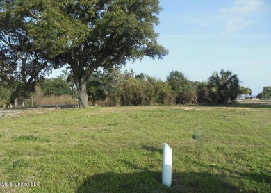 Don't miss this opportunity to own a beautiful residential lot - photo 1