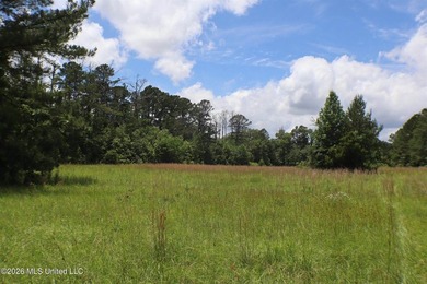 Discover a rare opportunity in the heart of the Brandon 39047 - photo 12