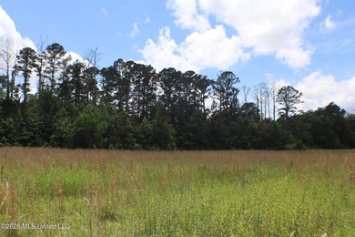 Discover a rare opportunity in the heart of the Brandon 39047 - photo 13