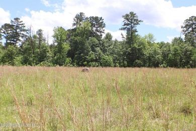 Discover a rare opportunity in the heart of the Brandon 39047 - photo 14
