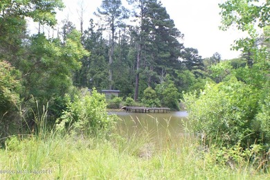 Discover a rare opportunity in the heart of the Brandon 39047 - photo 15