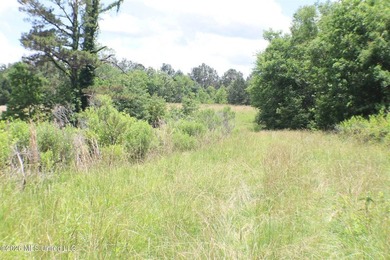 Discover a rare opportunity in the heart of the Brandon 39047 - photo 16