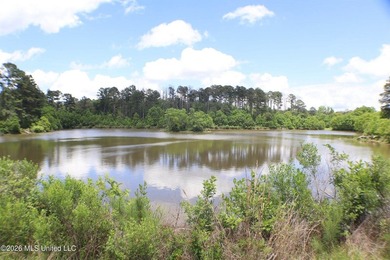 Discover a rare opportunity in the heart of the Brandon 39047 - photo 17